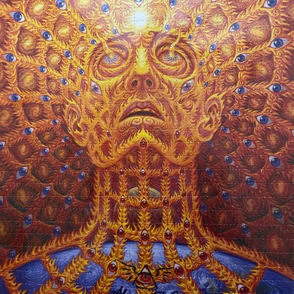 ALEX GREY OVERSOUL PRINT #160/200 SIGNED (taking offers) - Picture 3 of 13